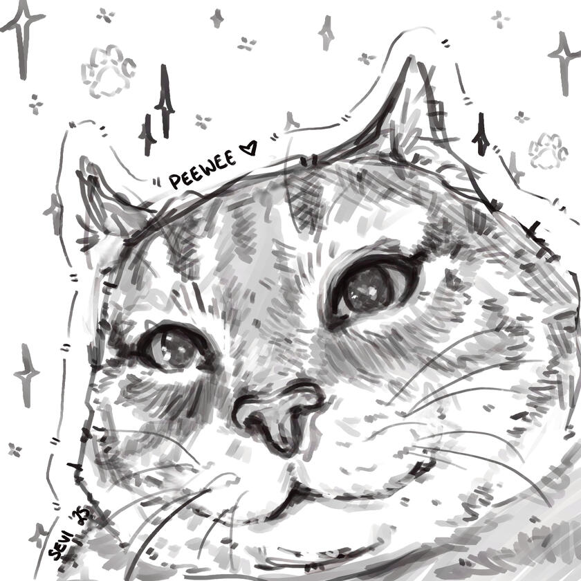 Peewee - Personal Sketch 2025